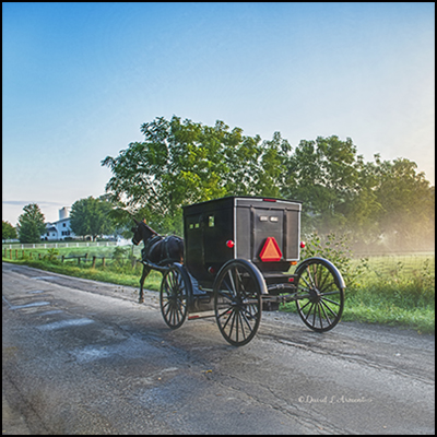 Amish Buggy on Rural Road with Morning Mist